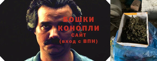 мет Бородино
