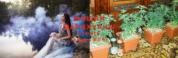 мет Бородино