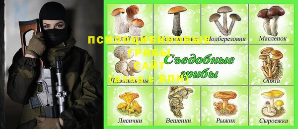 мет Бородино