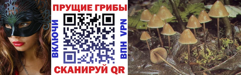 Псилоцибиновые грибы мухоморы  даркнет сайт  Тихорецк 